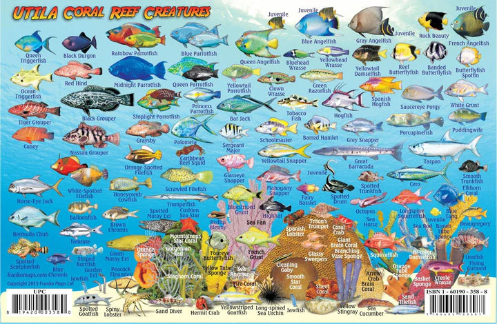 UTILA FISH CARD