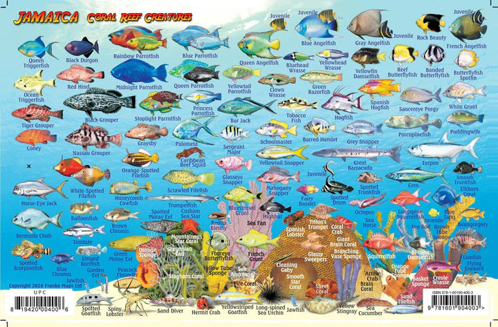Jamaica Fish Card