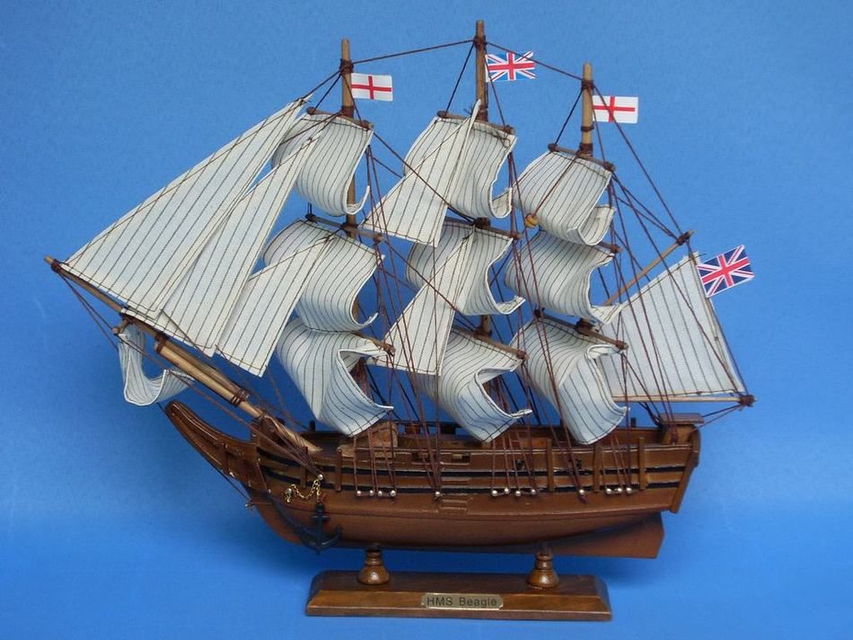 Charles Darwin's HMS Beagle Model Ship 14"