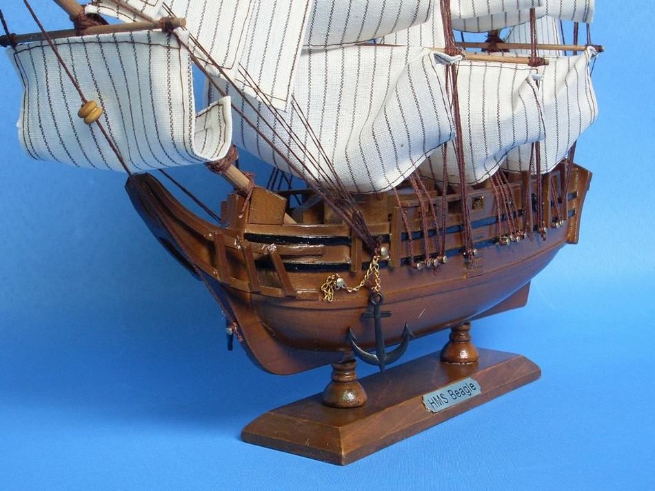 Charles Darwin's HMS Beagle Model Ship 14"