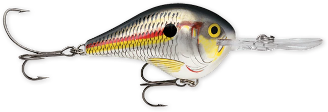 Rapala DT Series 10' 3/5oz 2.25in Shad
