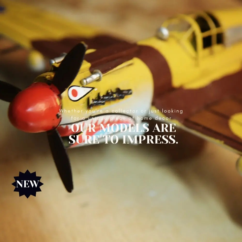 1941 Curtiss Hawk 81A 1:29 Model Plane