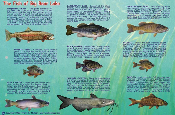 Big Bear Lake Fish Card