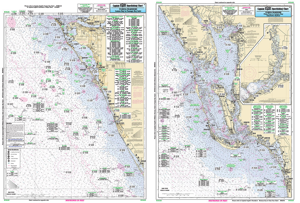 Florida Nearshore: Estero to Lemon Bay - CHA39 Large