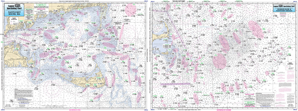 MA Nantucket Shoals and Georges Bank, MA-NG12 Large