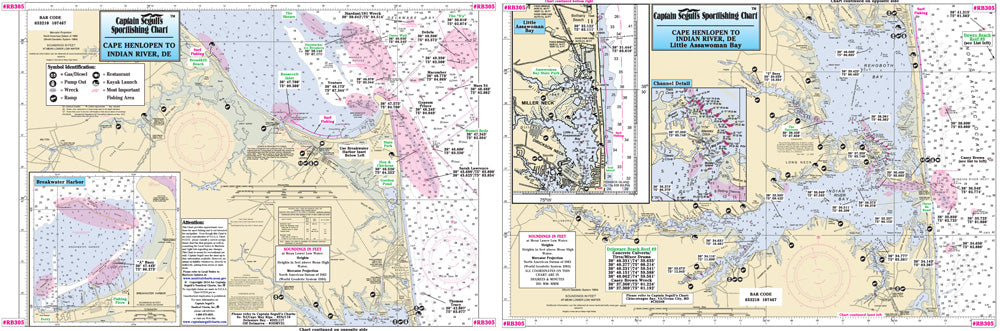 Delaware Rehoboth Bay and Indian River, DE-RB305 Small