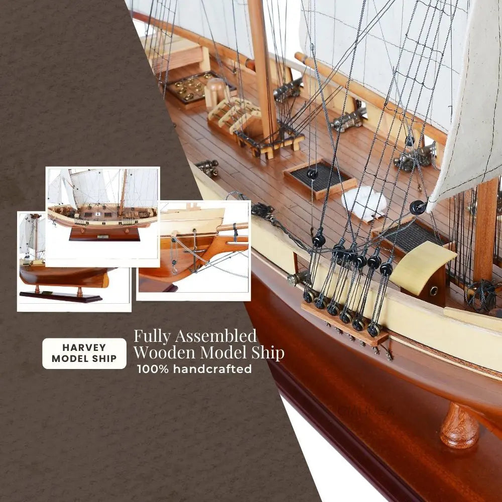Harvey Ship Model