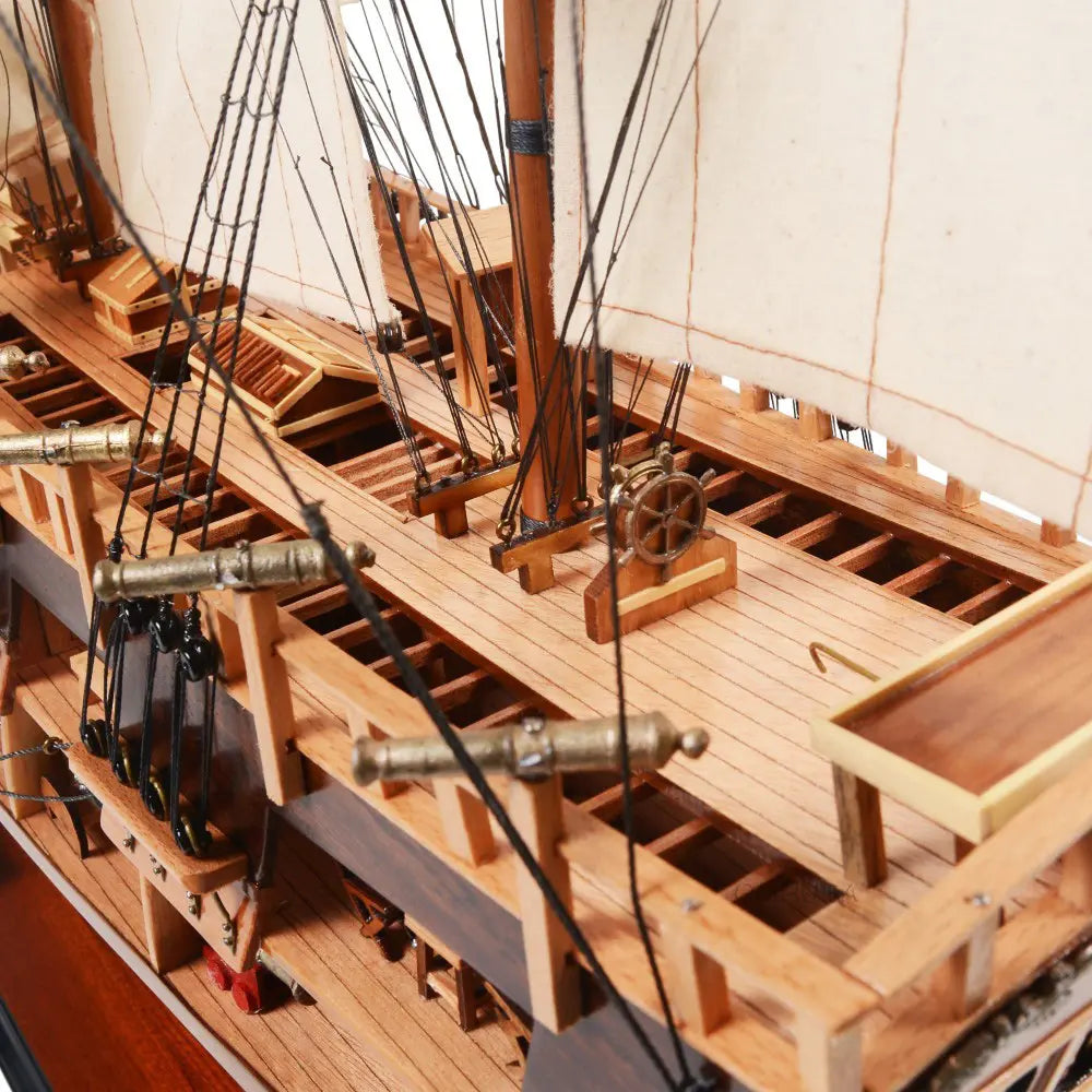 HMS Endeavour Model Ship With Open Hull Display