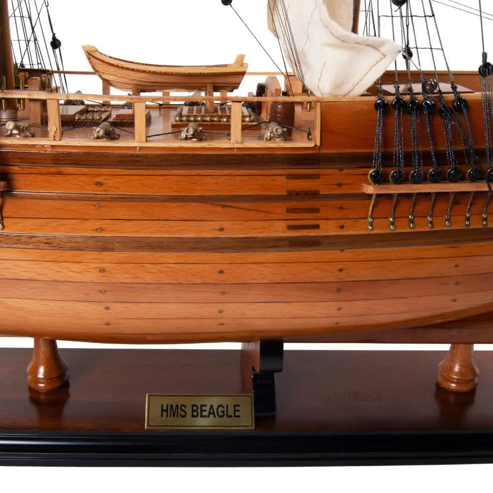 HMS Beagle Tall Ship Model