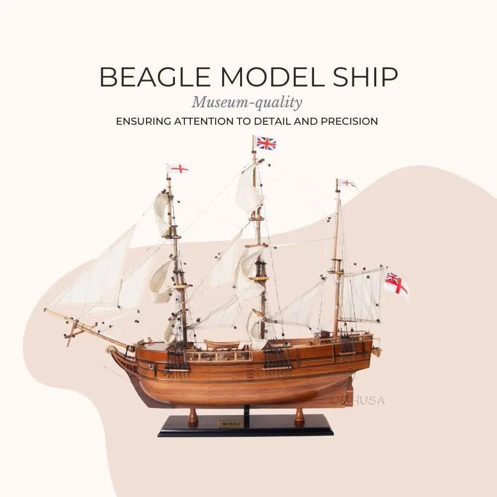 HMS Beagle Tall Ship Model