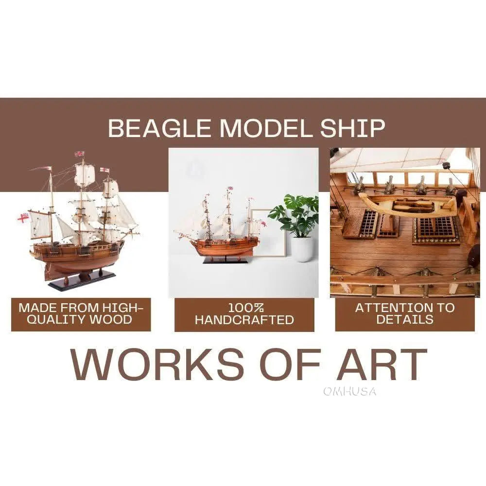 HMS Beagle Tall Ship Model