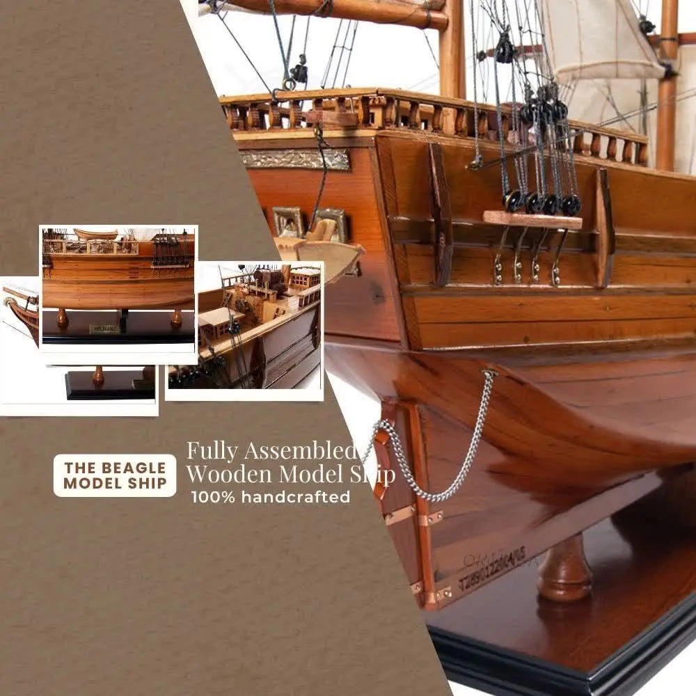 HMS Beagle Tall Ship Model