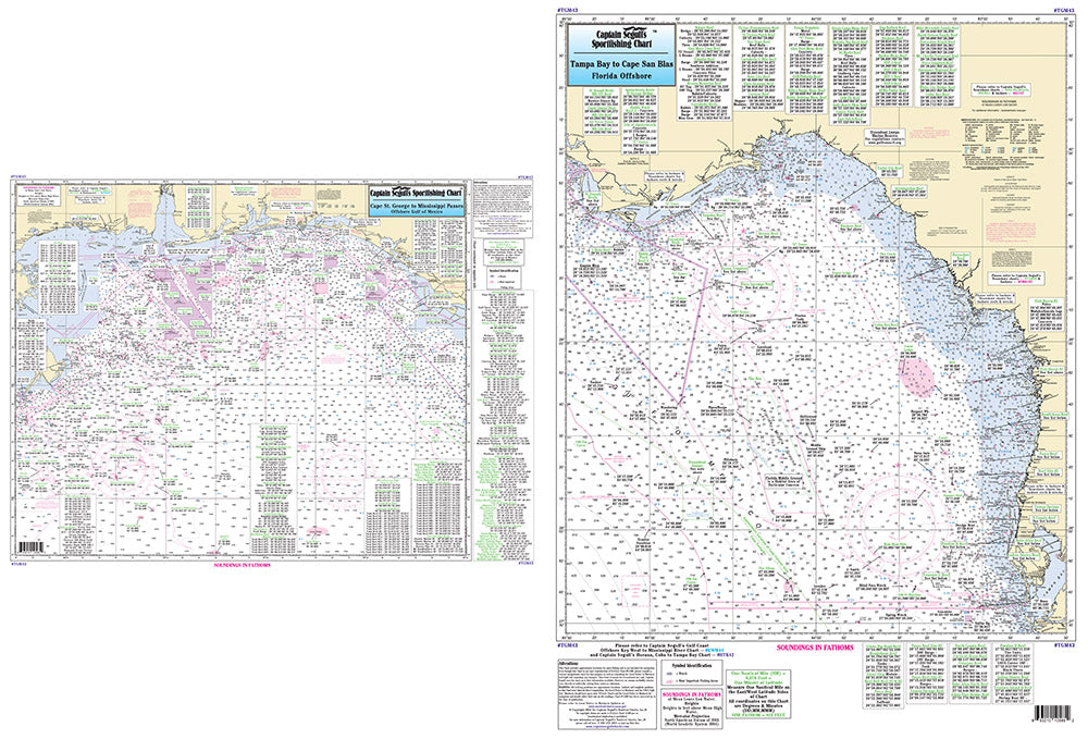 FL/AL/MS/LA Offshore: Tampa, FL to Mississippi River-TGM43 Large