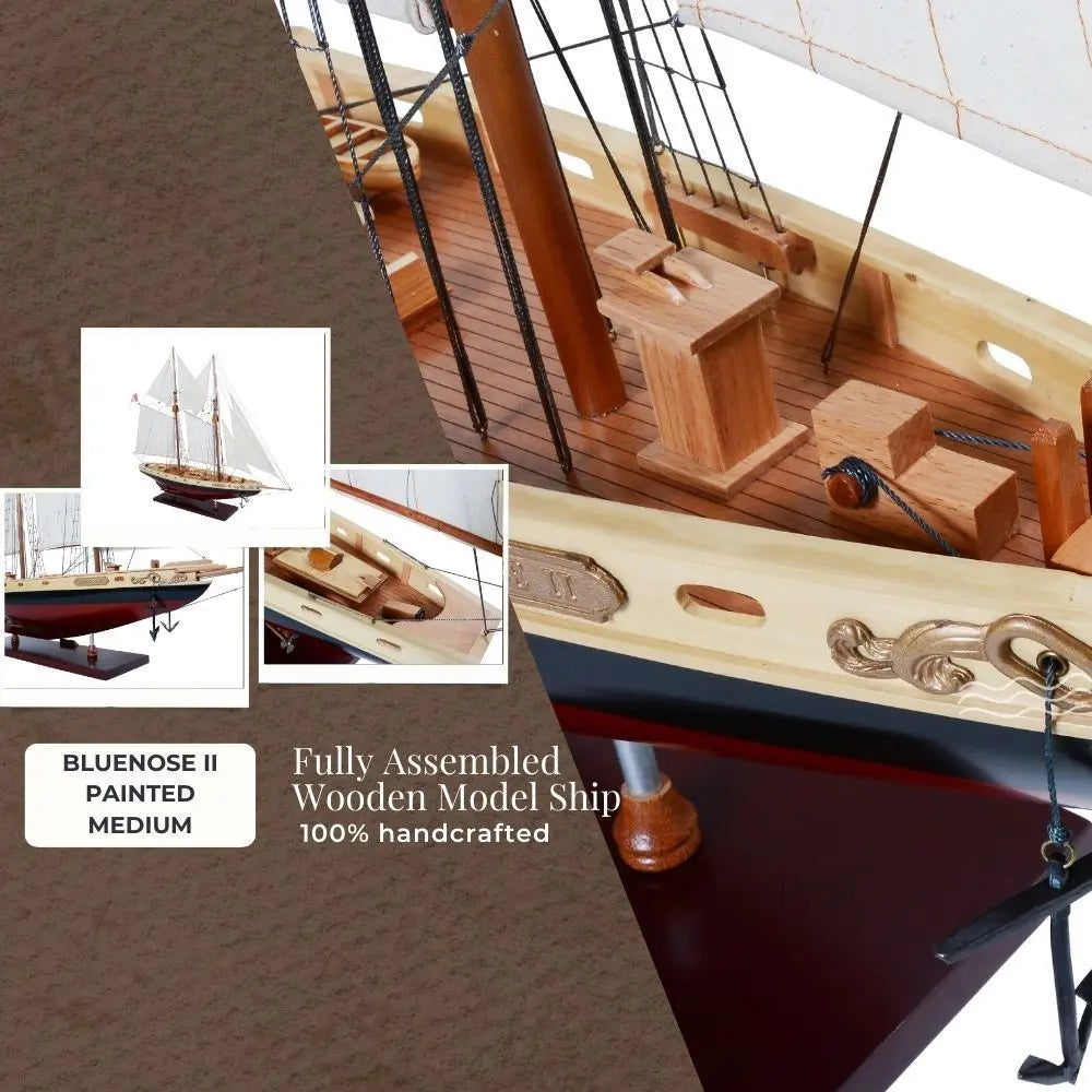 Bluenose II Painted Medium-Y133