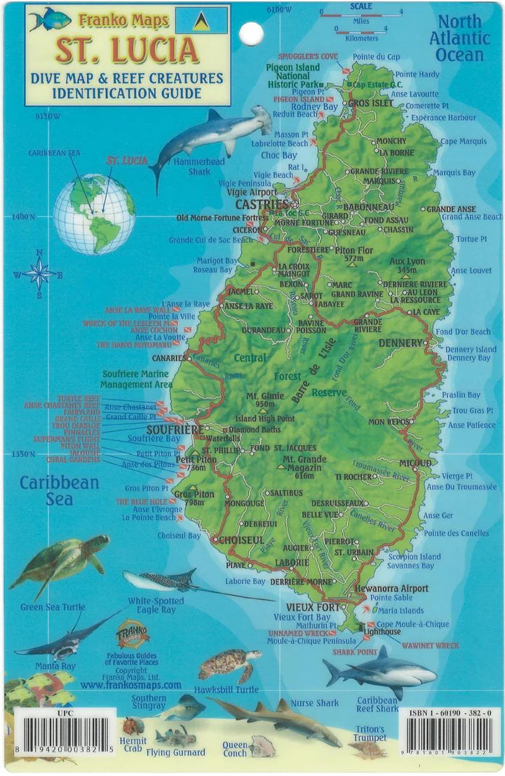 ST. LUCIA FISH CARD
