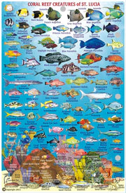 ST. LUCIA FISH CARD