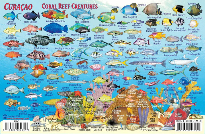 Curacao Fish Card