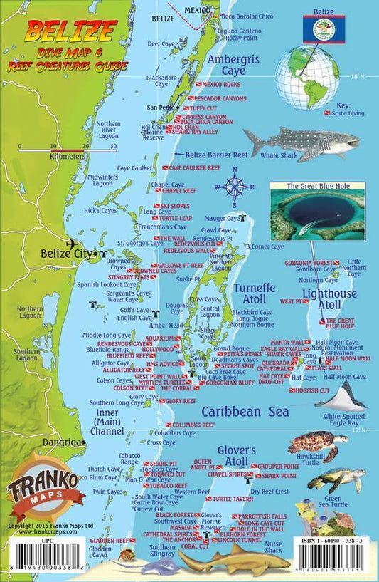 Franko's Belize : reef creatures identification guide