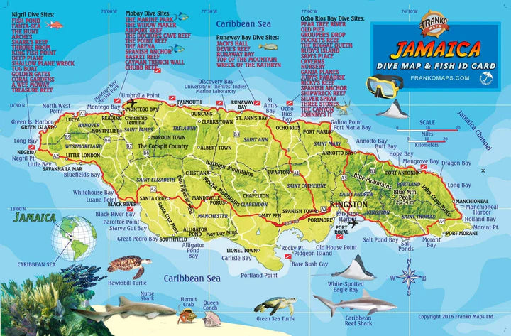 Jamaica Fish Card