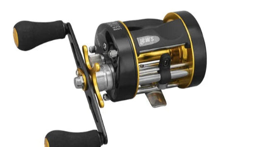 Lews Speed Cast Baitcast Reel 5BB 5.3:1
