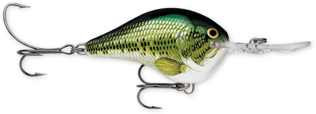 Rapala DT Series 10' 3/5oz 2.25in Live River Shad