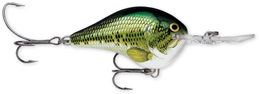 Rapala DT Series 10' 3/5oz 2.25in Live River Shad