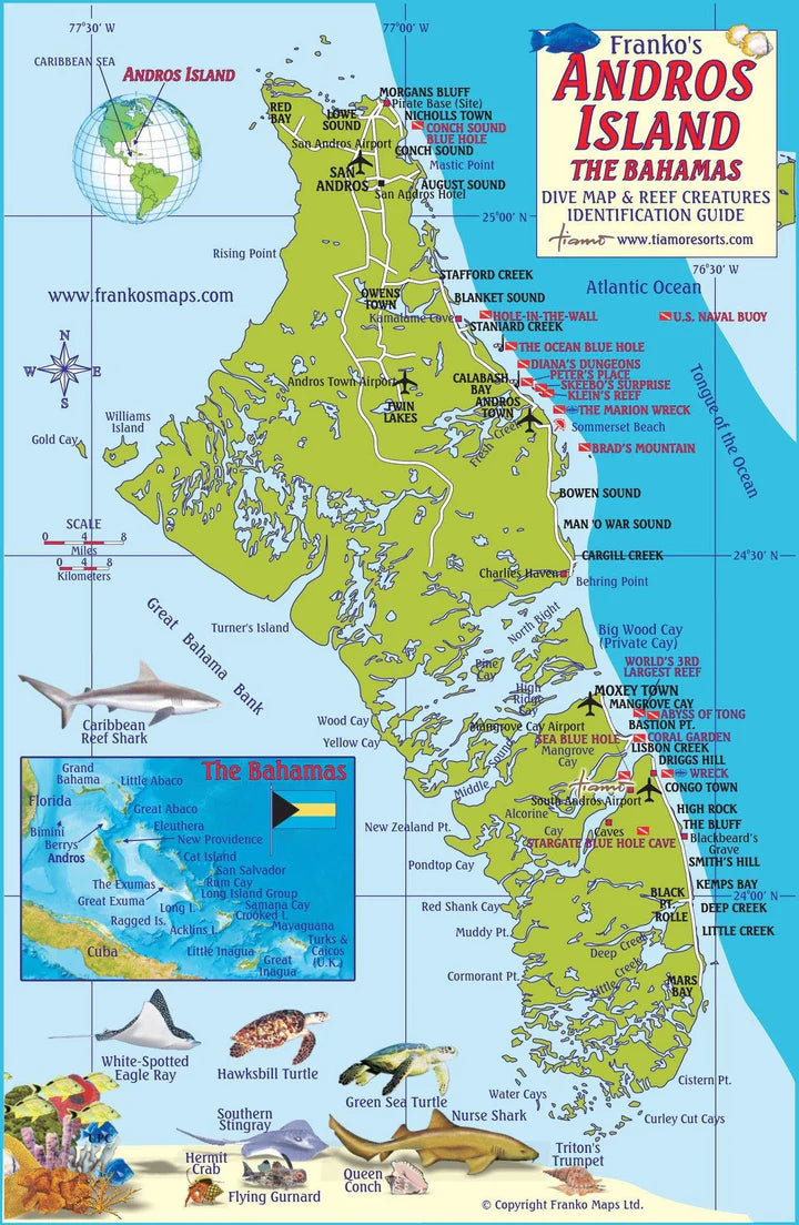 Andros Island, The Bahamas Fish Card