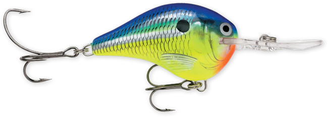 Rapala DT Series 3/8 2" Parrot
