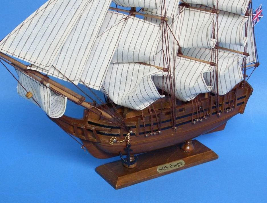 Charles Darwin's HMS Beagle Model Ship 14"