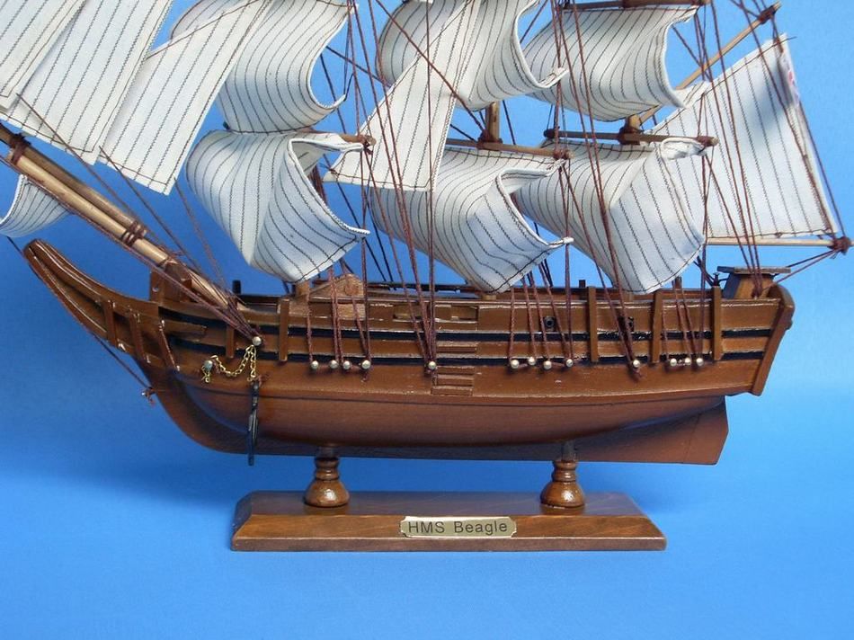 Charles Darwin's HMS Beagle Model Ship 14"