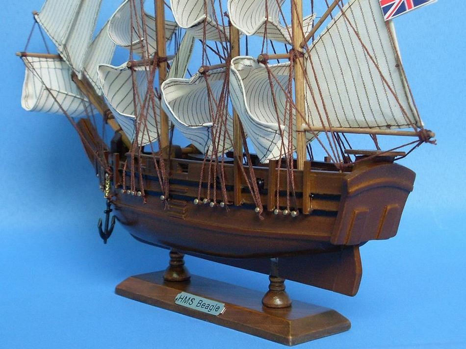 Charles Darwin's HMS Beagle Model Ship 14"
