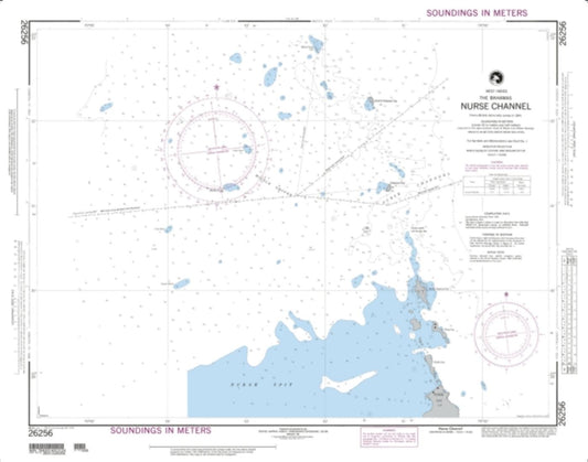 Nurse Channel (NGA-26256-8) by National Geospatial-Intelligence Agency