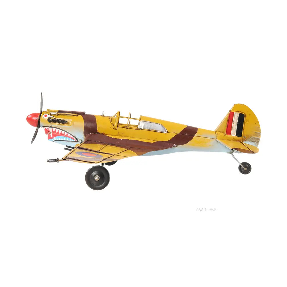 1941 Curtiss Hawk 81A 1:29 Model Plane