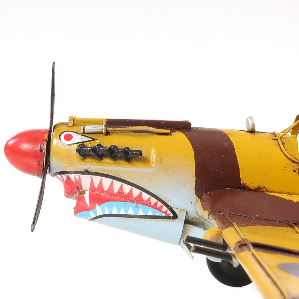 1941 Curtiss Hawk 81A 1:29 Model Plane