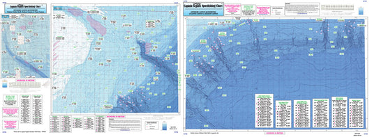 MA, RI, CT, NY, NJ Bathymetric Atlantis to Tom's Canyon-AT206 Large
