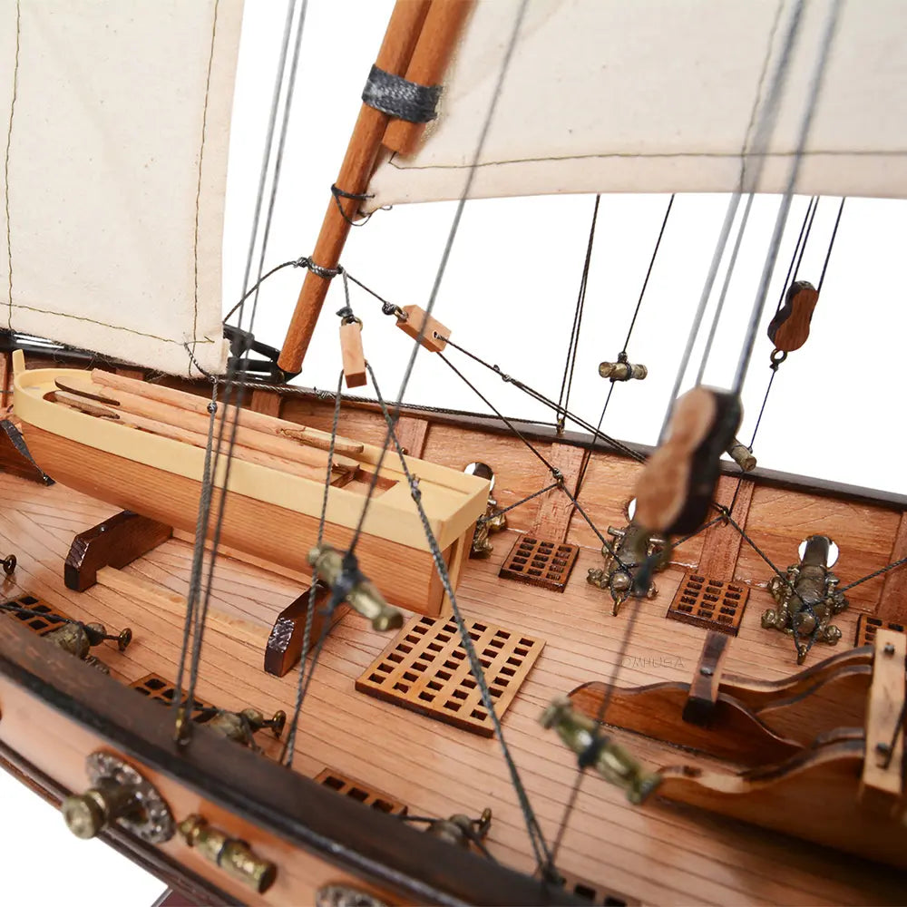 Xebec Pirate Ship Model