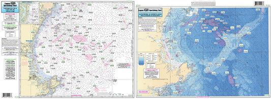 Maine Bathymetric Cape Ann to Jeffreys Ledge-CA201 Large