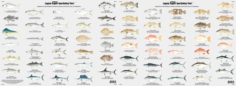 Florida Panhandle Sportfishing Nautical Chart Package- HUGE SAVINGS