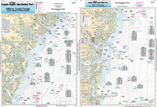 Georgia Off Coastal Georgia-GA30 Large