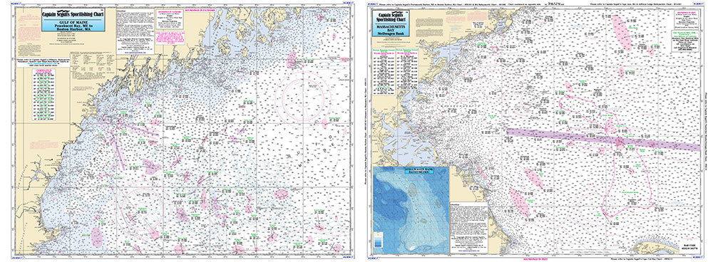 ME/NH/Mass Gulf of Maine, Massachusetts Bay-GMM17- Large