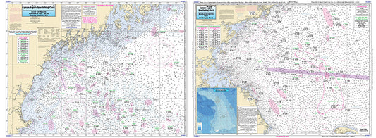 ME/NH/Mass Gulf of Maine, Massachusetts Bay-GMM17- Large