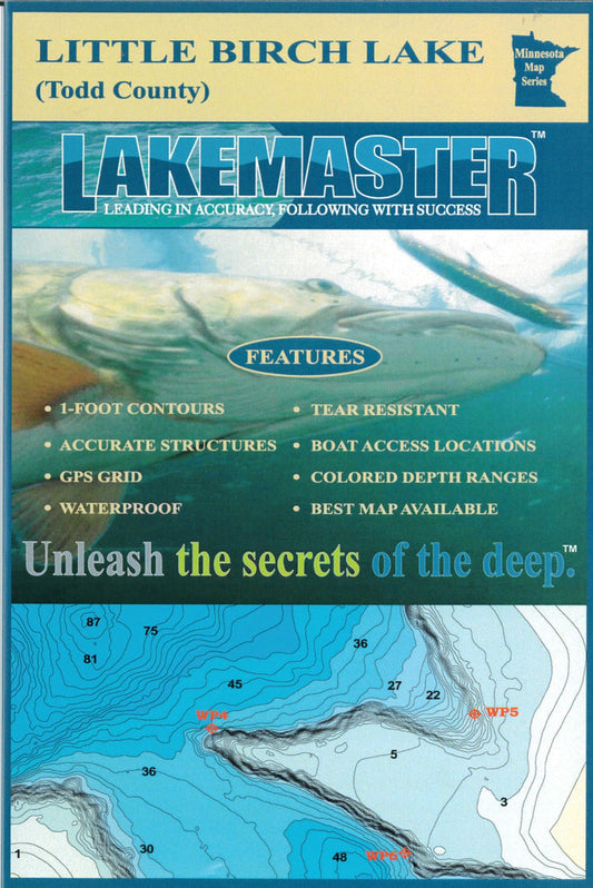 Little Birch Lake Stearns/Todd Co Fishing Map