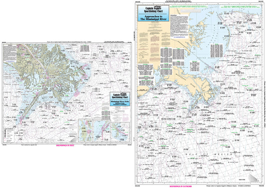 Lousiana Mississippi River Approaches and Delta-MAD50 Large