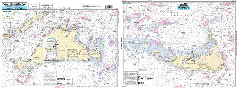 MA Marthas Vineyard and Nantucket, MA-MVN116 Large