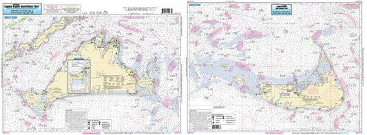 MA Marthas Vineyard and Nantucket, MA-MVN116 Large