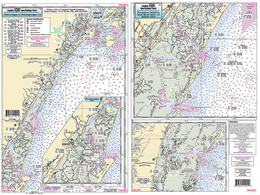 Virgina Chincoteague, Wachapreague and Quinby, VA-QUI341 Small
