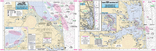 Delaware Rehoboth Bay and Indian River, DE-RB305 Small