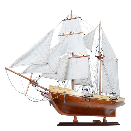 Harvey Ship Model
