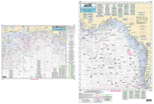 FL/AL/MS/LA Offshore: Tampa, FL to Mississippi River-TGM43 Large