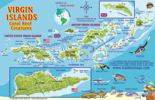 Virgin Island Fish Card